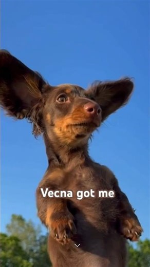 Vecna got me #strangerthings