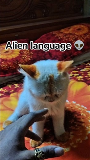 Alien language 👽