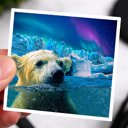 Polar Bear Swimming Sticker | Arctic Northern Lights Wildlife Decal