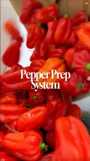 My Freezer Pepper System 🌶️ | Realistic Home Cooking