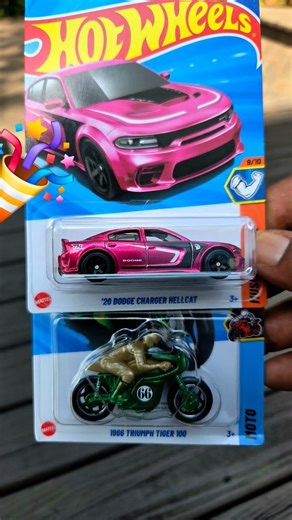 HW Hunting, Super Treasure Hunt & Treasure Hunt N Case 📦.