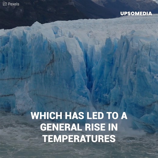 This is the "dramatic" moment when a penguin went rogue and broke away from the flock, not knowing he was going to end up in serious trouble. Subscribe for more http://bit.ly/yt-positive | Positive