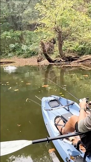 That fish straight-up Houdini’d off the hook