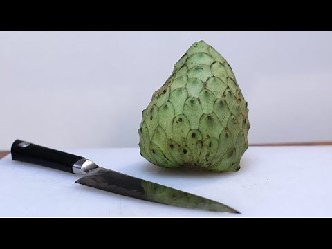 How to eat Cherimoya | What does Cherimoya Fruit taste like?