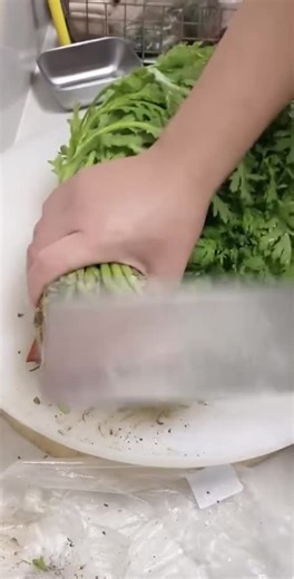 Chopping Green Onions in a Home Kitchen