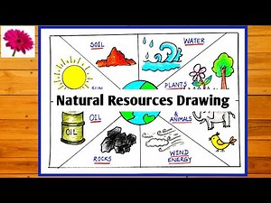 Natural Resources drawing/How to draw natural resources chart step by step for science Project