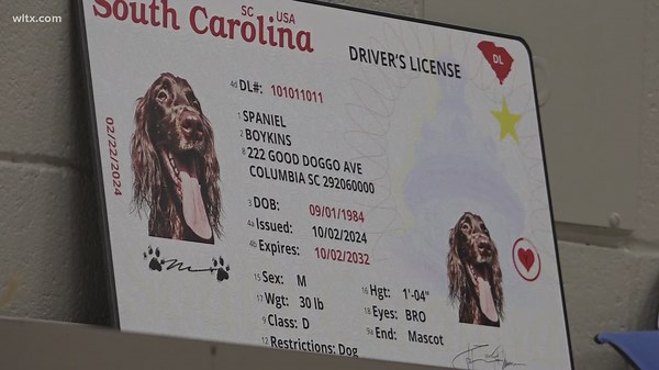 Here’s what documents South Carolina residents need to get a REAL ID