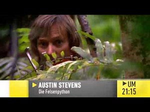 TV-Tipp am Mittwoch: Austin Stevens - Die Felsenpython