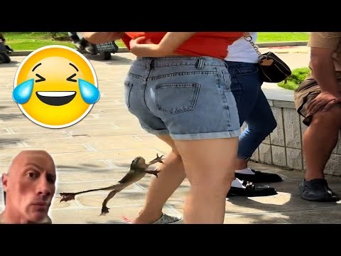 EXTREME Try Not To Laugh 😂 Funniest Fails & Pranks January 2026 | Comedy Gold