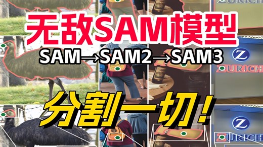 2026最新最好的【SAM模型】ai大佬带你轻松吃透SAM模型，分割一切！Segment Anything Model 从环境配置到本地部署、推理！AI/CV