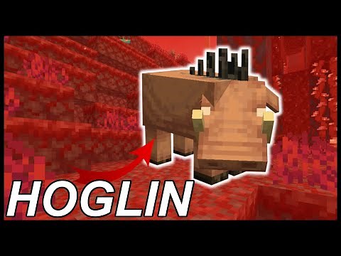 How To Tame Hoglins In Minecraft 1.16