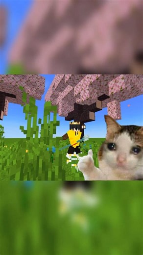 The Ultimate Pro Settings Guide!🔥 #minecraft #shorts