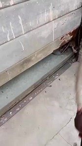 Bafa beran ne ya kara muku kudin petir ba Malam 😂😭 | Mohammed Isa Hassan