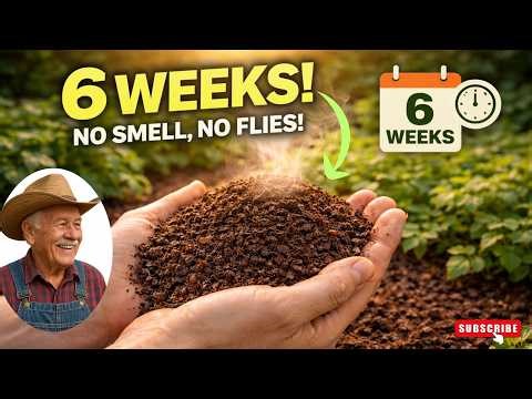 👉 Make Perfect Compost in Just 6 Weeks: No Smell, No Flies (Secret Method) 🌱