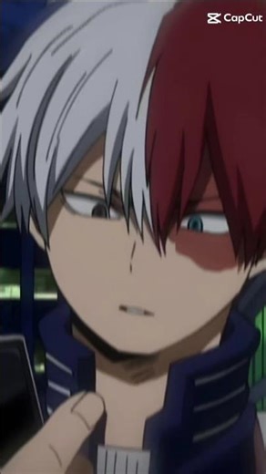 shoto todoroki (mha)