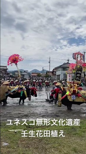 【ユネスコ世界無形文化遺産】壬生花田植え2023、3年ぶりの開催！白砂匠庸選手も登場！広島県北広島町壬生