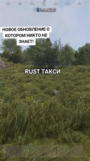 Шокирующее новое обновление в Rust: Cobalt Lab