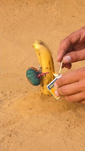 🍌💥 Banana vs Nazi Cracker Explosion! 😱🔥 Watch this amazing viral experiment video—can a simple banana 🧨 survive the explosion of a Nazi cracker? 😳 Smoke, explosions, and a dash of madness—this experiment will leave you both amused and amazed! 🤯😂 Watch until the end, the results will be beyond your imagination! 🎬✨ 👉 Follow for more crazy experiments like this! #reels #viral #fireworks #funny #shorts #crackers #crazy #trending #video #science #ViralExperiment #bananavscracker #experiment