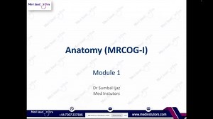 MRCOG-1 Abdomen I Anatomy