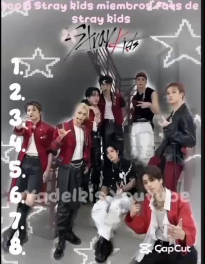 Top 8 de mis miembros favoritos de Stray kids #stay #kpop #kpopskz #straykids