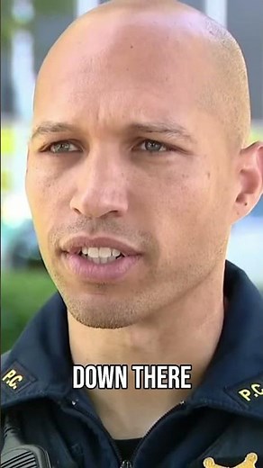 150 Roosters Saved from Cockfighting I The Spotlight