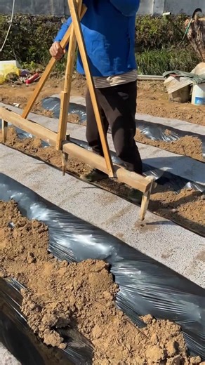 Polythene perforation process in accurate measurements for planting seeds on agricultural fields