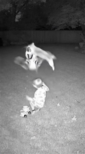 "Cheetah Attack Caught on Camera! 😱🐆" #cheetahattack #funny #wildanimals #CheetahAttack #WildPredators #BigCats #WildlifeMoments #DangerousAnimals #Unbelievable #CaughtOnCamera #NatureIsWild #ViralShorts #EpicWildlife #AnimalPlanet #PredatorMode #CrazyNature #MustWatch | AnimalX