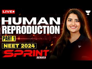 Human Reproduction Part 1 | NEET 2024 Sprint Series | Seep Pahuja