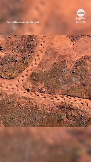 Drone footage shows the world's largest continuous set of dinosaur tracks — known as West Gold Hill Dinosaur Track — in Ouray, Colorado, featuring 134 footprints and running 106 yards long. https://abcnews.visitlink.me/IVWYGT | ABC News