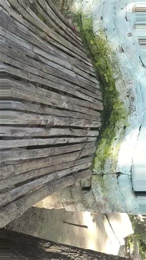 Got it You want YouTube captions (video descriptions +