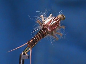Beginner Fly Tying a Lively Legz Stonefly with Jim Misiura