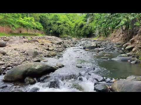 Relaxing Water Flow Over Rocks – Stress Relief Nature Soundscape