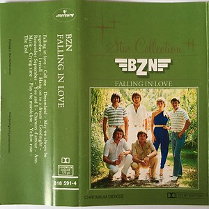 BZN - Falling In Love