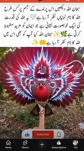 SubhanAllah! Is video mein dekhiye kitni khoobsurati se paani par Allah ka naam nazar aa raha hai.
