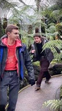 Fish Finger Chase Scene
