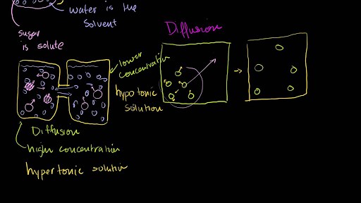 Diffusion and osmosis
