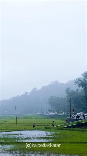 creative.bin on Instagram: "✨ Recent Branding Work ✨ Logo design for Keralakkaran Meen Chatti 🐟🍲 📍 Malappuram When I see the logo I think of the Kerala seafood culture. The logo mixes the Malayalam typography, the colors and the food images. The logo captures the soul of the brand. The logo feels bold, local and easy to remember. If you are a hotel, a restaurant, a café or a startup you need branding that connects with the audience. You also need branding that shows your story in form. Let us