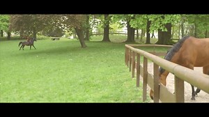 515K views · 2.9K reactions | Vous aussi, n'attendez pas et faites comme Gabrielle. | FFE - Fédération Française d'Equitation | Facebook