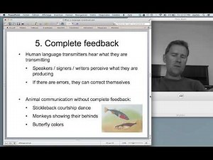 Human language and animal communication