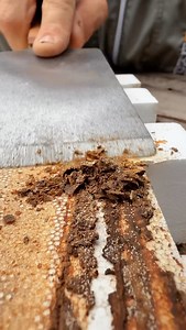 Cleaning Up Old Swienty Poly Boxes | Black Mountain Honey