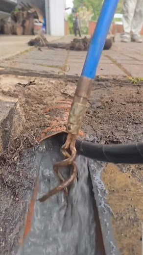 Roots vs. Raw Harben Jetter Power—Watch the Showdown | Titanium Drainage