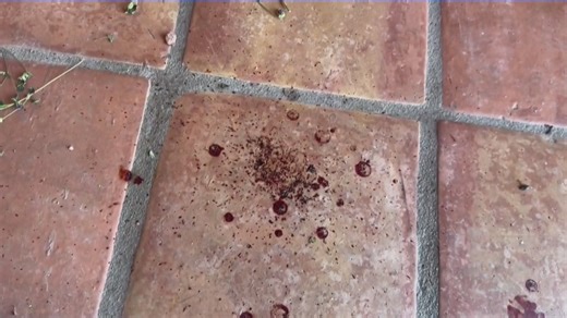 NewsNation's Brian Entin got footage outside the home of Nancy Guthrie, mother of "Today" show co-host Savannah Guthrie, as authorities continue searching for the woman last seen Saturday night at her rural Tucson home. | NewsNation