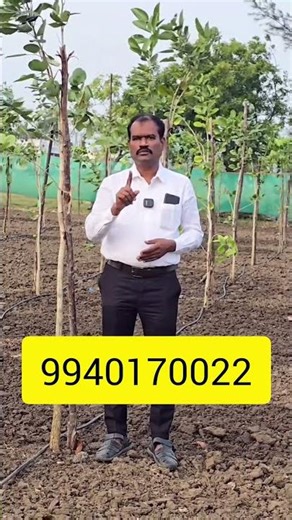 low budget farmland #landforsale #agriculture#farmland #investment #property #lowbudget #realestate