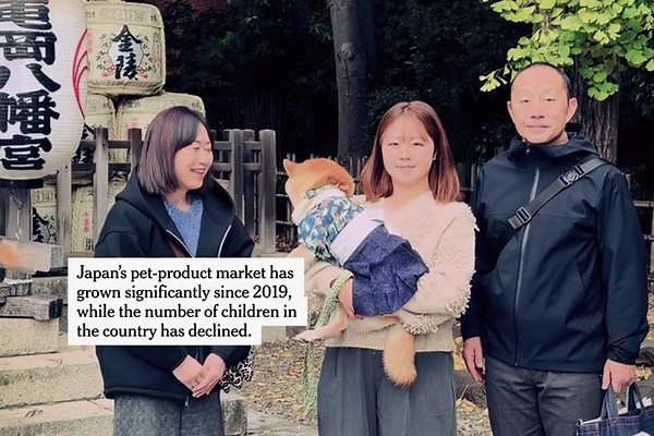 Dogs in Kimonos: Japan Reinvents a Children’s Holiday for Pets