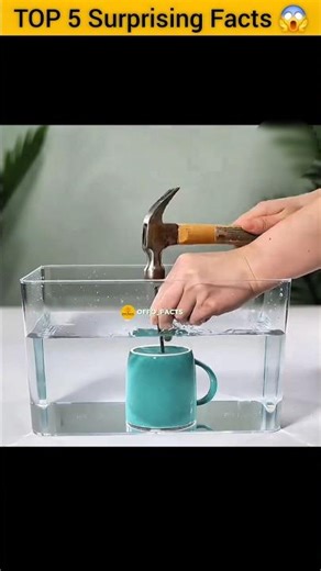 Top secret Amazing kitchen Hacks 🍵 😱| Mind Blowing Hacks In Hindi | Random Facts #facts #shorts