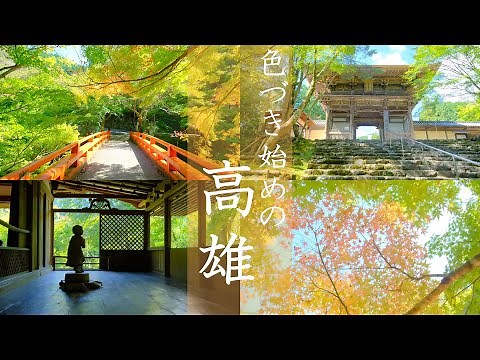 【京都観光】3時間でめぐるもうすぐ紅葉の高雄｜神護寺｜西明寺｜高山寺｜そうだ京都行こう|2022|秋(Kyoto,JAPAN)