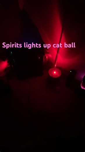 Spirits lights up cat ball during spirit box session #ghost #paranormal #haunted