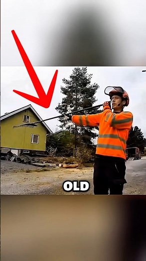 How to Measure a Tree Perfectly Every Time #outdoors #trick #skills