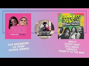 Aya Nakamura, Lil Pump, MOLIY & Shensea - Pookie To The Max (Mashup)