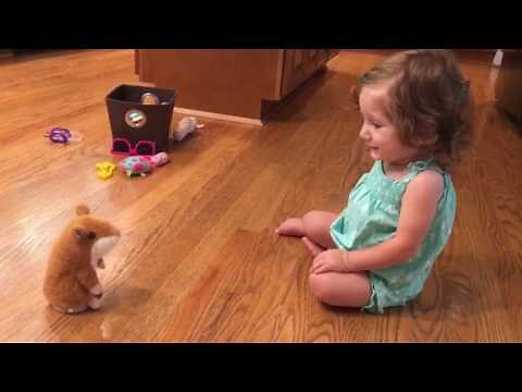 Evil repeating hamster strikes again...(five minutes later, she was laughing)
